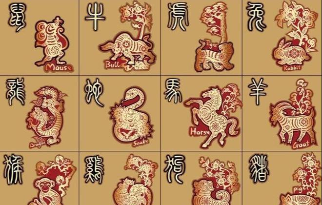 今期生肖不计较,一一四四两个来指什么生肖详细解答、专家解答解释落实