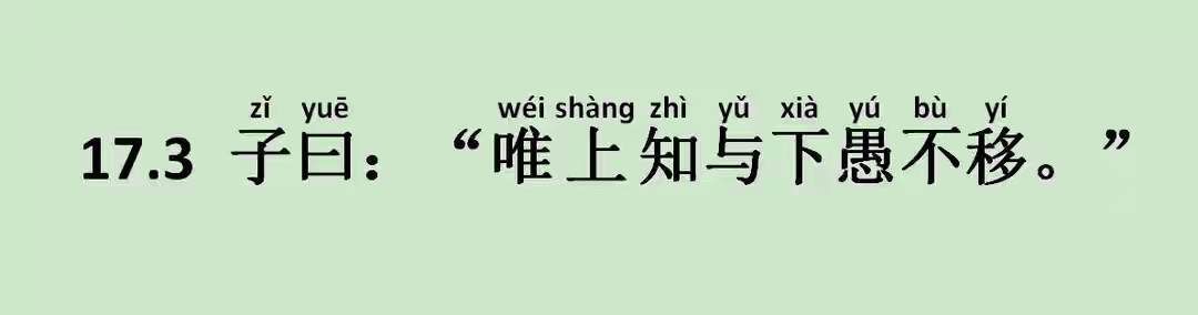 作威作福，實屬不智。三五成群十雙在打一最佳生肖,警惕虚假宣传,精准解答解释落实