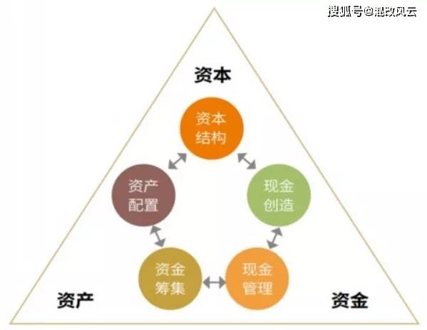 今期生肖九字头，免来本期看四九打一最佳生肖，详细解答、构建解答解释落实